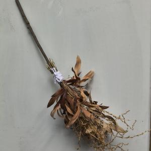 Vassoura Energética Astral – Energia da Benzedeira | Bruxa NADA