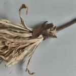 Vassoura Energética Artesanal | Limpeza Espiritual e Proteção | YULE (folhas)