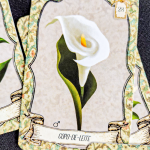 Herbário Lenormand – A Magia das Ervas em 36 Cartas