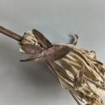 Vassoura Energética Artesanal | Limpeza Espiritual e Proteção | YULE (folhas)