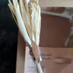 Vassoura Energética Artesanal | Limpeza Espiritual e Proteção | YULE (folha)