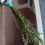 Vassoura Energética Artesanal | Limpeza Espiritual e Proteção | 4 ELEMENTOS