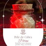 Pele de Cobra Natural 1g (Muda/Ecdise) em Frasco de Vidro | Sem Crueldade Animal